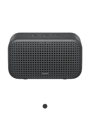 Xiaomi Smart Speaker Lite