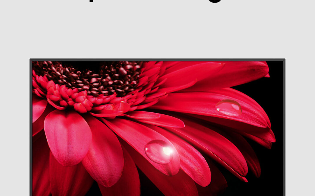 Sharp 65″ 4K UHD Google TV (4T-C65FL1X)