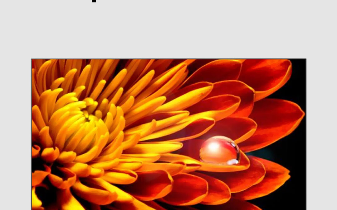 Sharp 75″ 4K UHD Android TV (4T-C75EK2X)