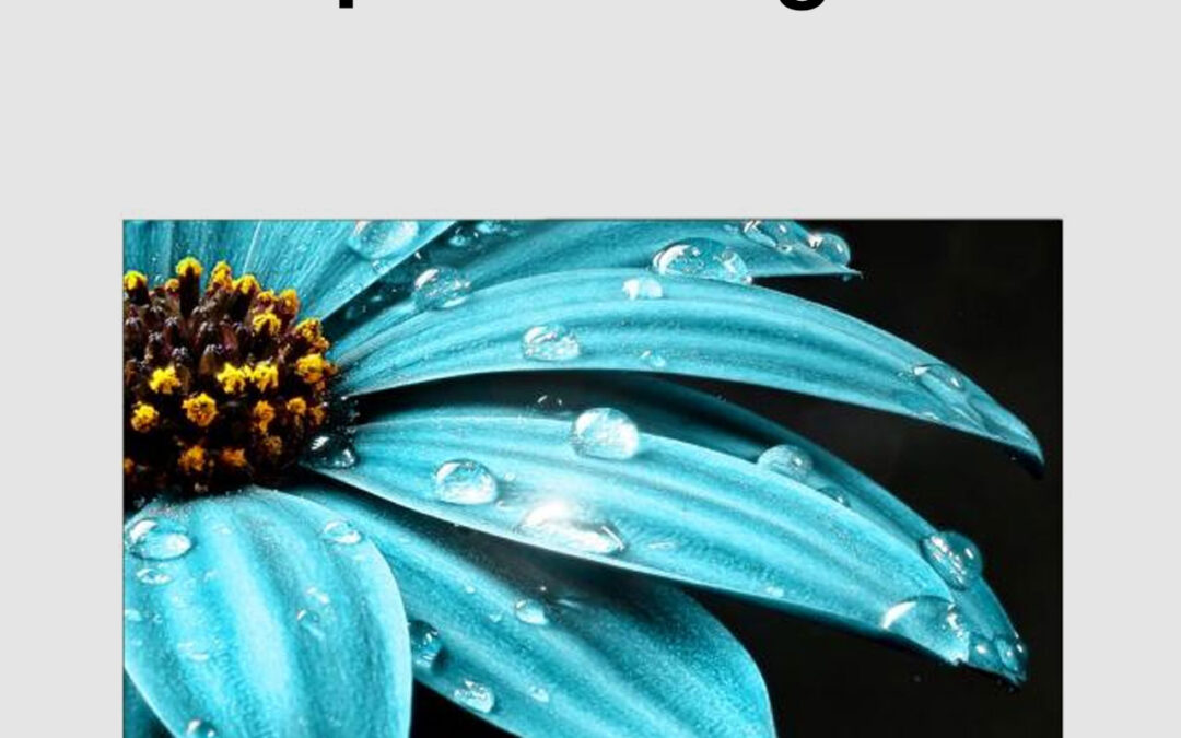 Sharp 75″ 4K UHD Google TV (4T-C75FJ1X)