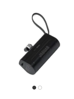 Jaguar Electronics PB151 Mini Plug In Power Bank 5000mAh Type-C