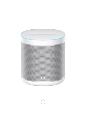 Mi Smart Speaker