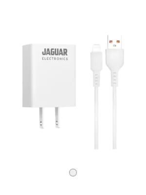 Jaguar Electronics WCP29 Wall Charger