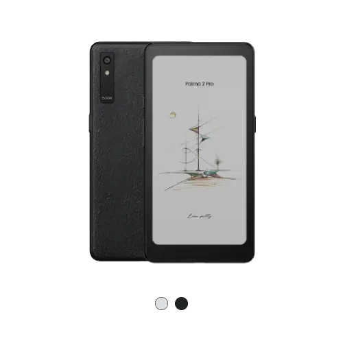Boox Palma 2 Pro Free Case Boox Magnetic 2-in-1 Palma 2 Pro