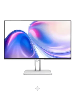 Lenovo L24-4C Monitor