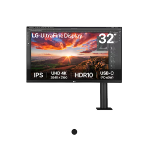 LG 31.5 inches UHD 4K Ergo IPS Monitor (32UN880K-B)