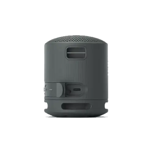 Sony SRS-XB100 Portable Wireless Speaker - View 2